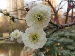 -木塔寺遗址生态公园