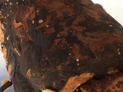 -Bread618面包生日蛋糕(欧亚商都店)