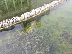 -苏州河梦清园环保主题公园