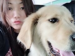 -瑞派雷欧宠物医院·中兽医·眼科·急重症转诊中心(黄台店)