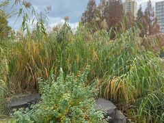 -宁波儿童公园(鄞州区)