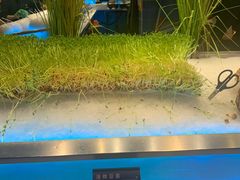 -V-ONE西雅图海鲜自助餐厅(仓山万达广场店)