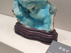 -安徽省地质博物馆