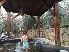 -南京汤山紫清湖生态旅游温泉度假区