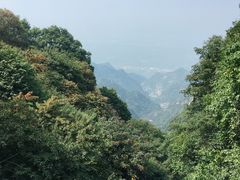 -少华山国家森林公园