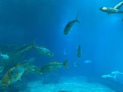 -福州罗源湾海洋世界旅游区