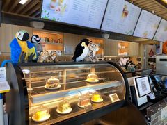-ZOO COFFEE动物园咖啡(望京锐创店)