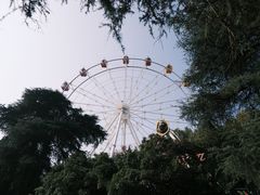 -红山森林动物园