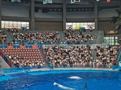 -海合安成都极地海洋公园