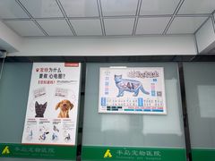-半岛宠物医院24小时(科华中路店)