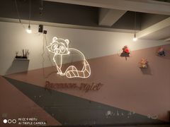 -浣熊柯尔鸭土拨鼠·电玩咖