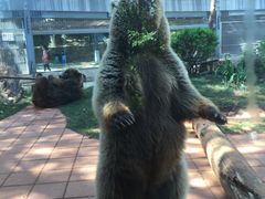 -昆明动物园