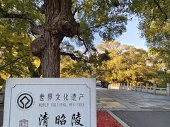-北陵公园