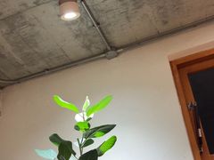 -像素研食The pixlab (皮市街店)