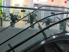 -中国电信(武林广场营业厅)