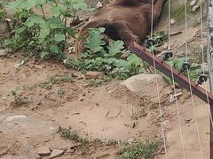 -福州动物园