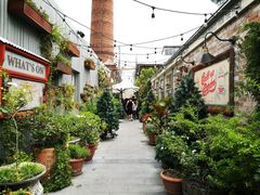 门面-The Grounds of Alexandria
