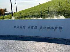 -荷兰花海