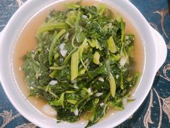 野生芝麻菜-国生茶庄·地道农家菜团建活动