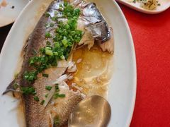 -船歌·鱼水饺青岛菜(正阳路店)