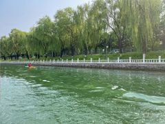 -皇家御河游(紫御湾码头)