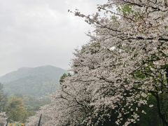 -杭州少年儿童公园