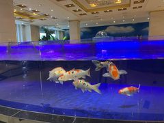 -鹏天阁酒楼·海鲜(红旗店)