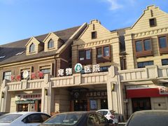 -美联众合宠物医院·爱萌分院·内外科·猫科中心