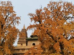 -北京石刻艺术博物馆(五塔寺)