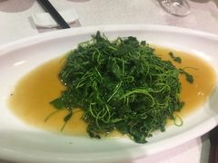 -天福苑(崇宁路店)