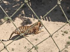 -西霞口神雕山野生动物世界