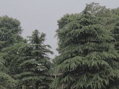 -钟山体育运动公园