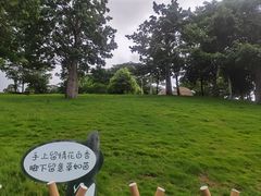 -白石龙音乐公园