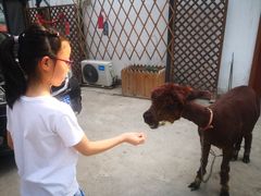 -美家乐农庄·露营·团建(大治路店)