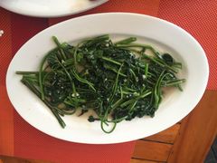 毛里求斯小四川饭店-毛里求斯小四川餐厅总店