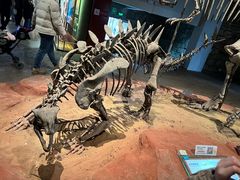 -自贡恐龙博物馆