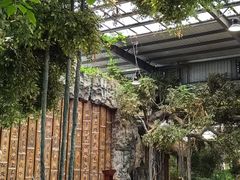 -江天生态园餐厅