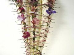 -荷兰布尔玛国际花艺学院