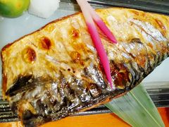 烤青花鱼-游You House(西单老佛爷店)