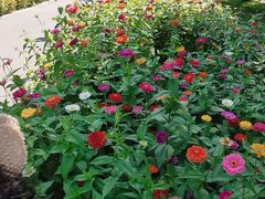 -长春公园(普阳街道)