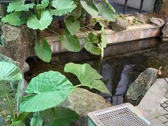 -湖南别院·美学庭院餐厅(惠阳店)