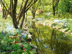 -上海共青森林公园