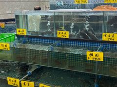 -鸿记海鲜大酒楼(开发区店)