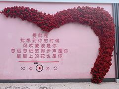 -东湖生态旅游风景区