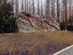 -东平国家森林公园