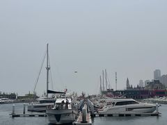 -东港音乐喷泉广场