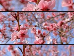 -太阳宫公园