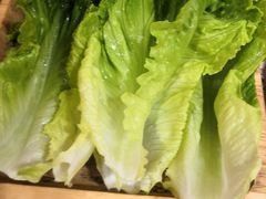 生菜-许府牛火锅(信义坊总店)