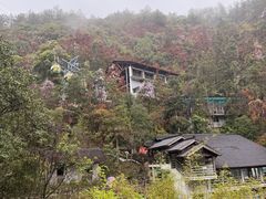 -千岛湖东南湖区