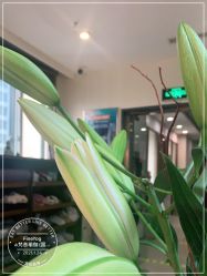 -FineYoga梵音瑜伽·普拉提